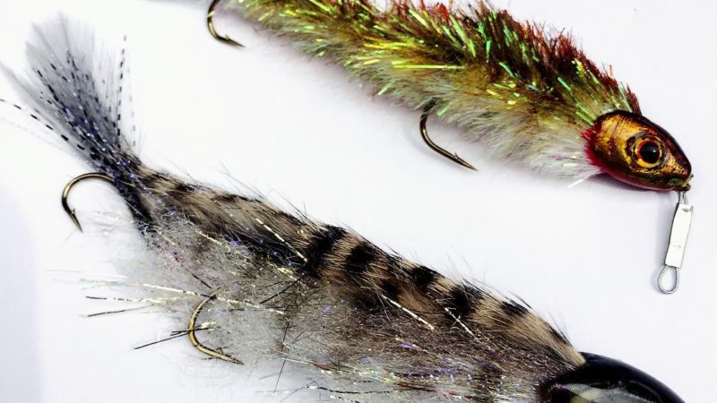 Zipstick and Juvenille Whitefish