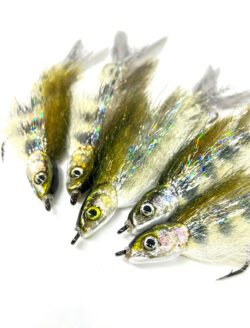 Juvenile White Fish Streamer