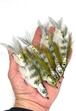 Juvenile White Fish Streamer - Image 3